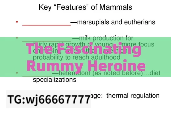 The Fascinating Rummy Heroine Name